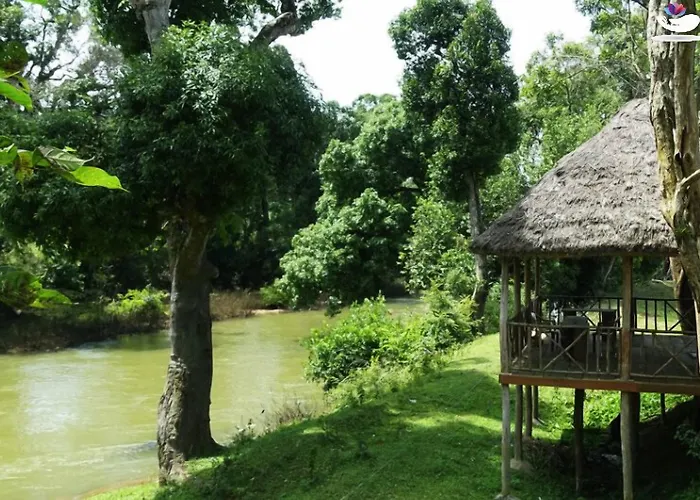 Sixth Element